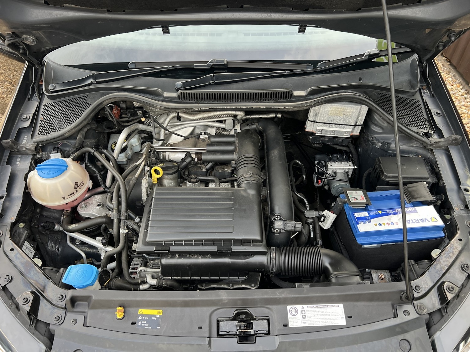 Used Volkswagen Polo 2016 for sale - 76412254: Photo 21