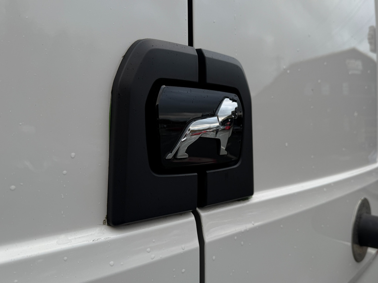 Used MAN TGE 2020 for sale - 76905484: Photo 14