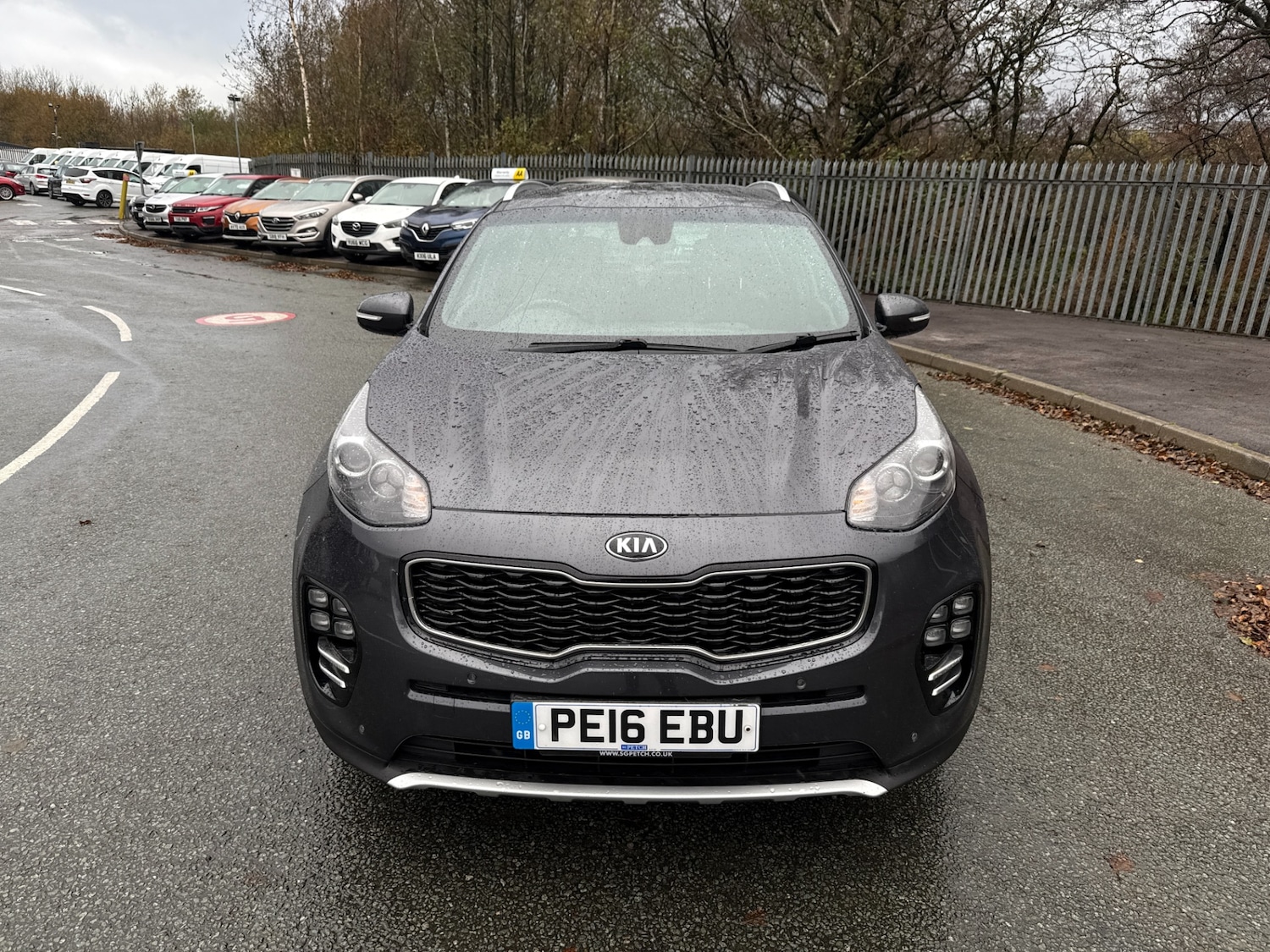 Used Kia Sportage 2016 for sale - 76693581: Photo 8