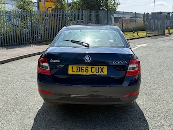 Used Skoda Octavia 2016 for sale - 79524623: Photo