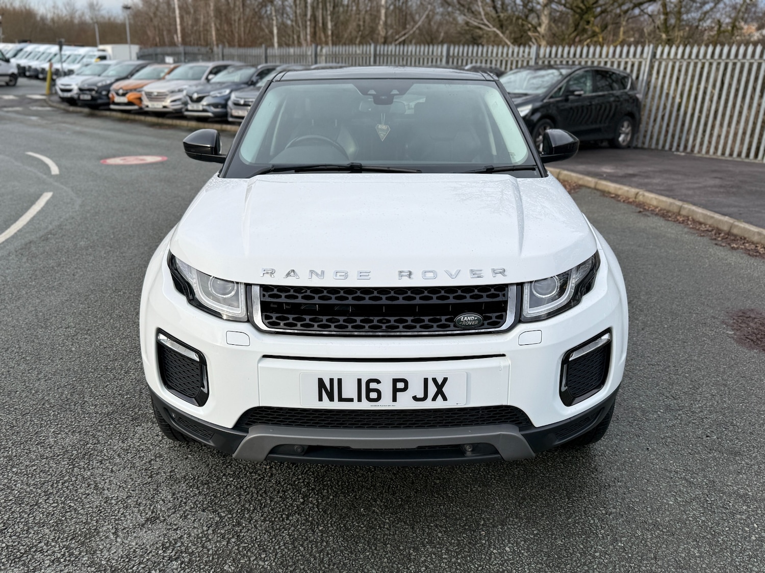 Used Land Rover Range Rover Evoque 2016 for sale - 77519206: Photo 8