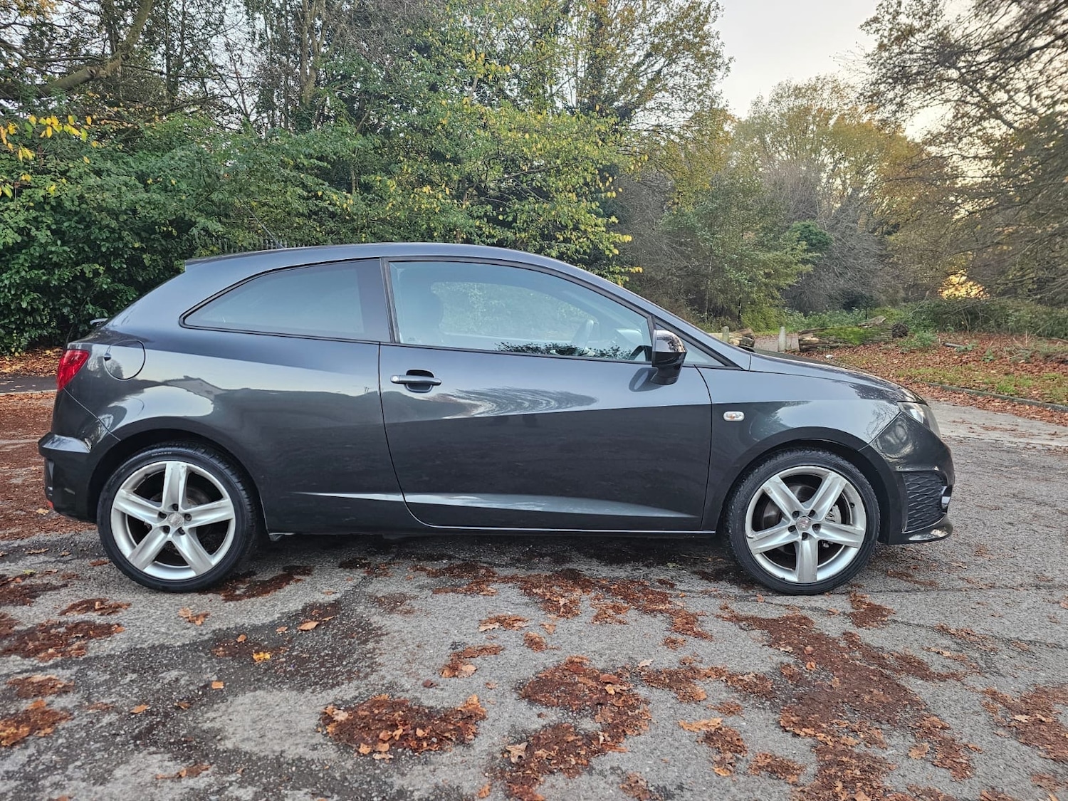 Used SEAT Ibiza 2011 for sale - 76608592: Photo 14