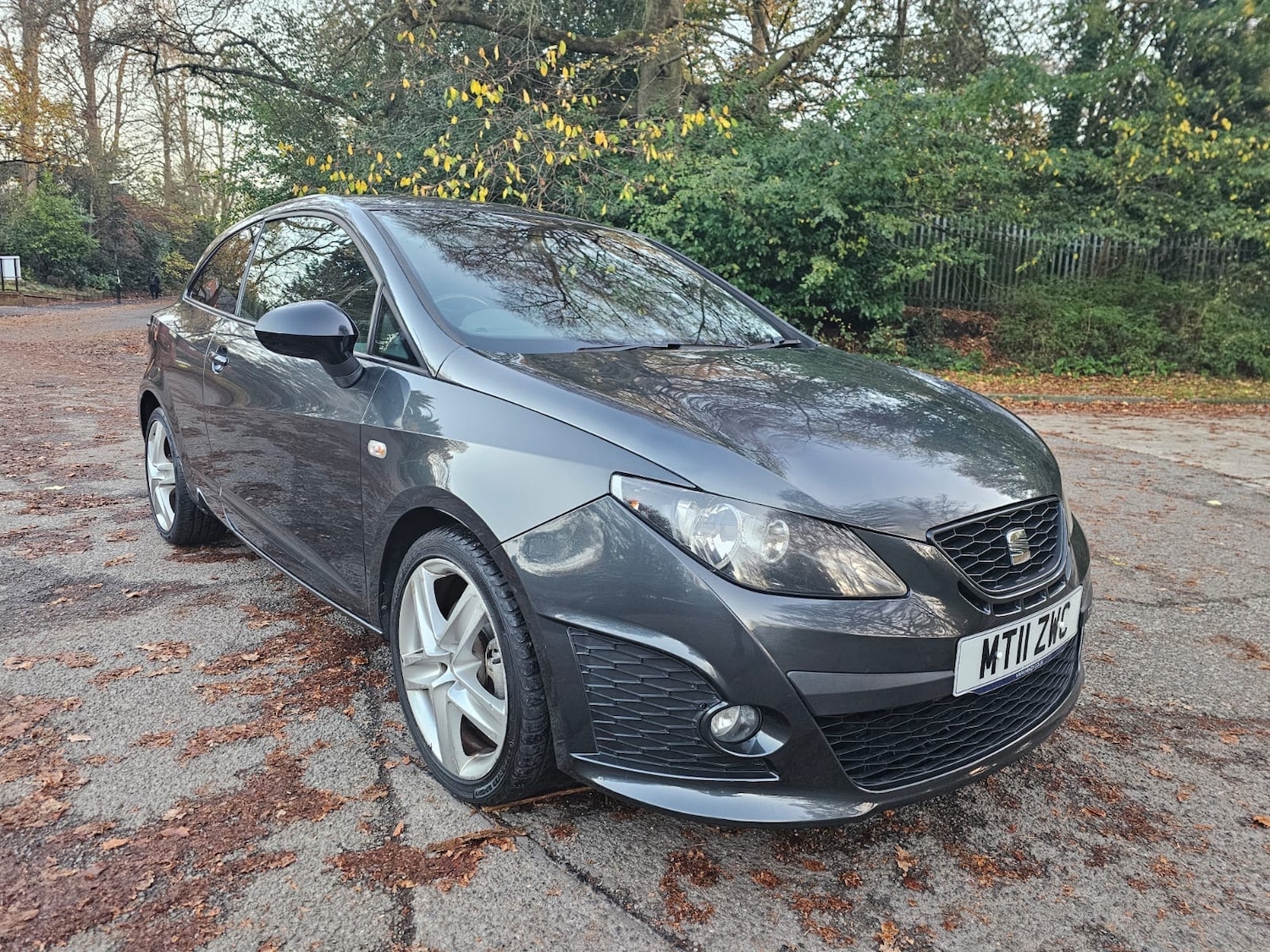Used SEAT Ibiza 2011 for sale - 76608592: Photo 18