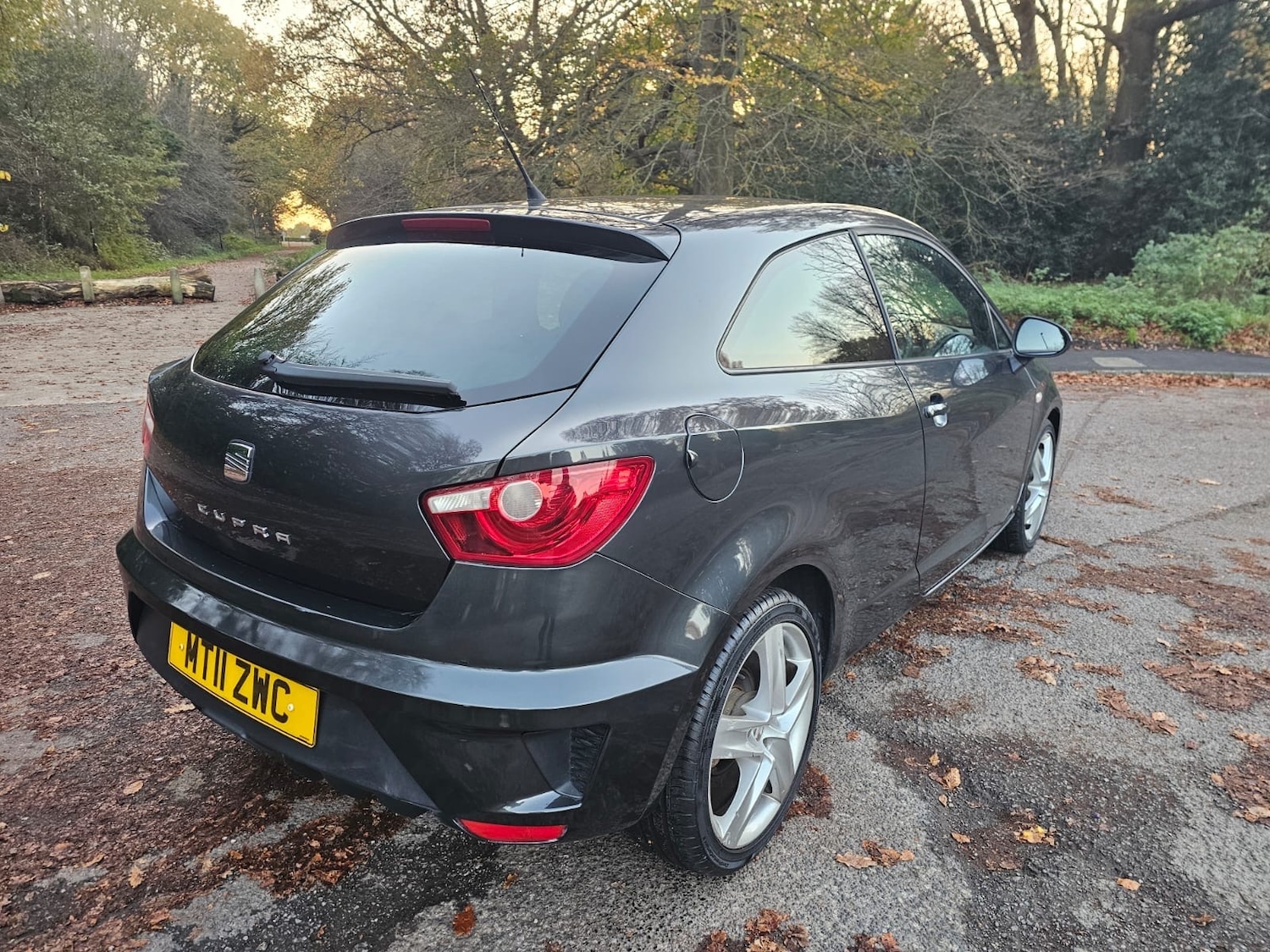 Used SEAT Ibiza 2011 for sale - 76608592: Photo 4