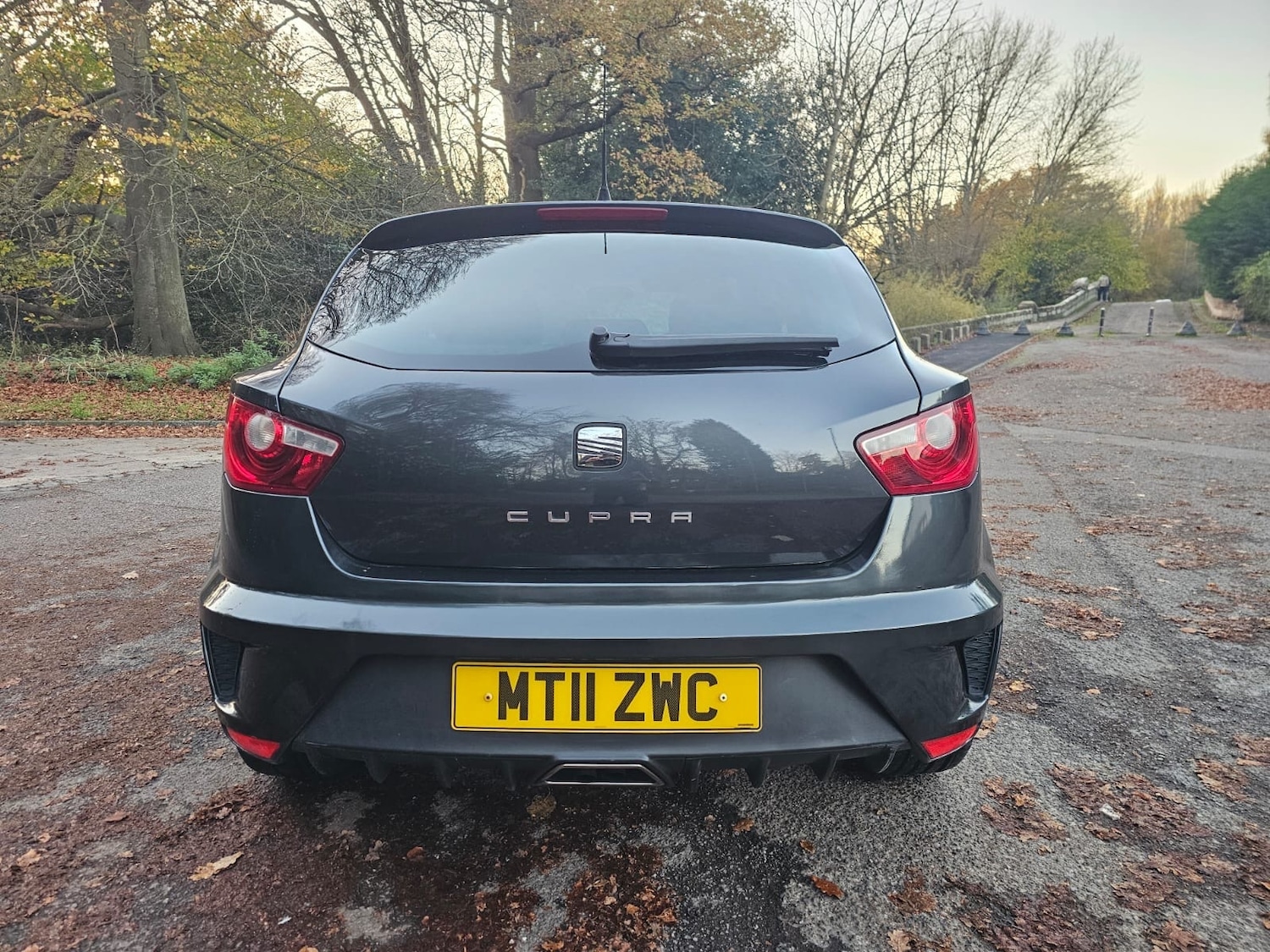 Used SEAT Ibiza 2011 for sale - 76608592: Photo 5