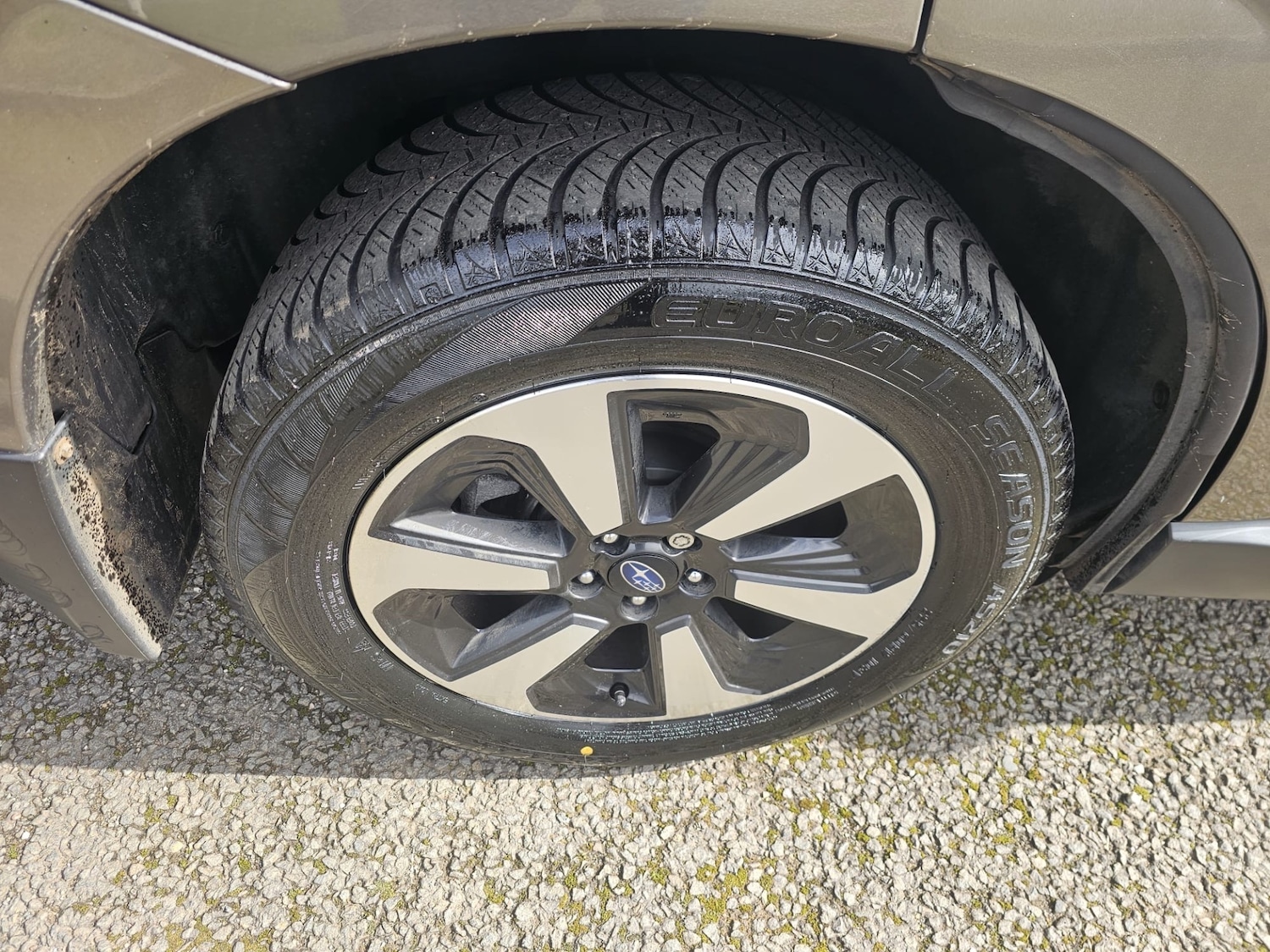 Used Subaru Forester 2016 for sale - 77903653: Photo 12