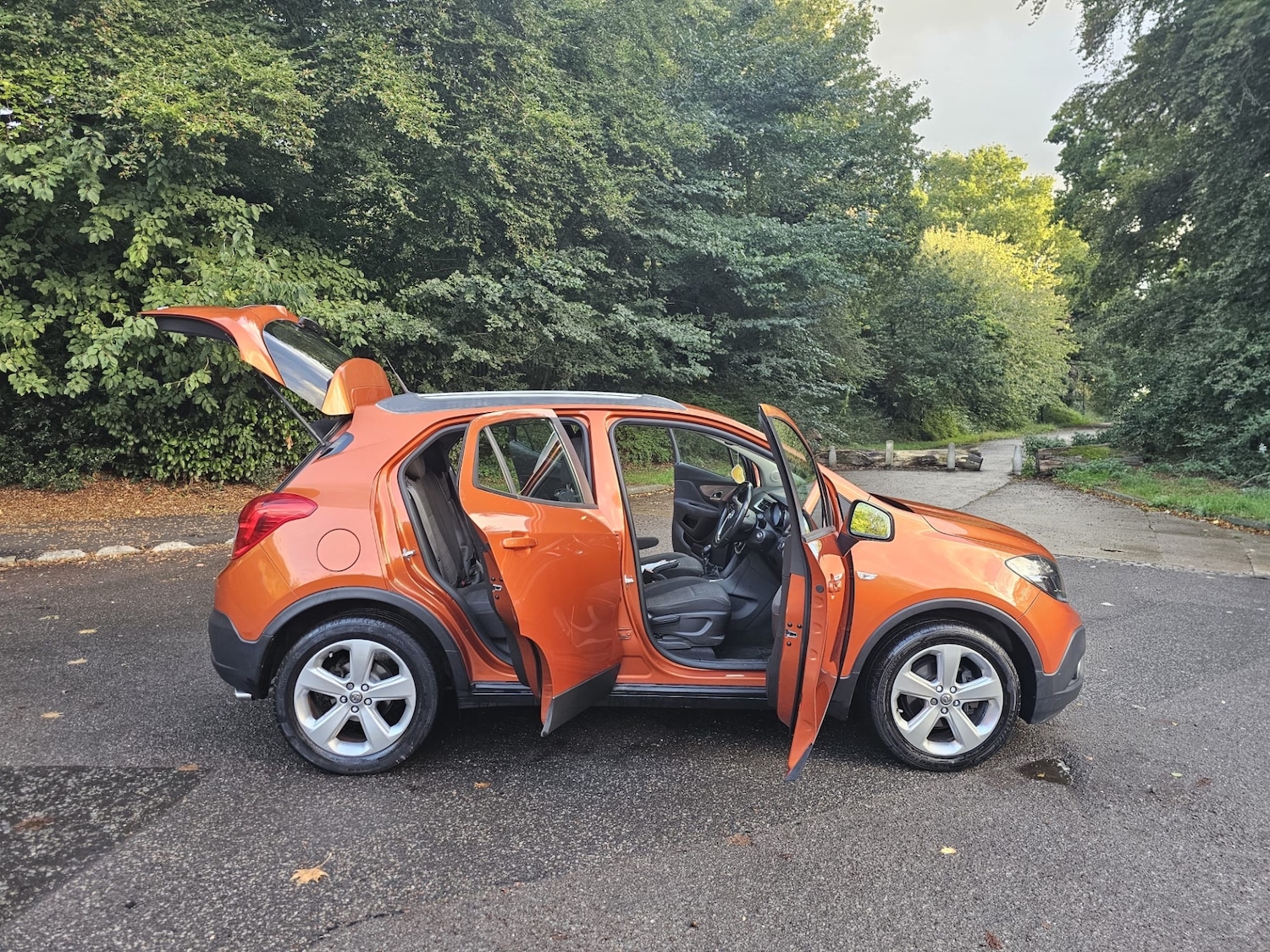 Vehicle 6