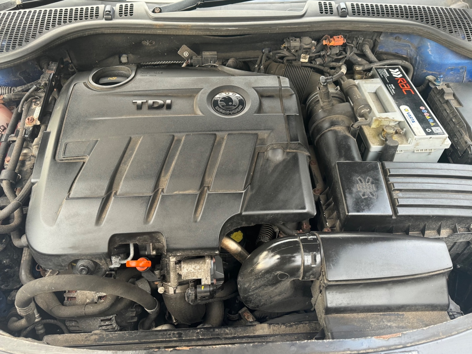 Used Skoda Octavia 2010 for sale - 76507370: Photo 8