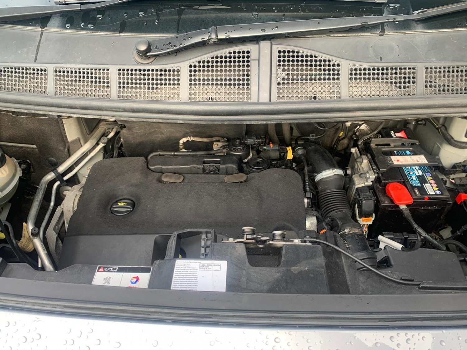 Used Peugeot Expert 2022 for sale - 76358233: Photo 10