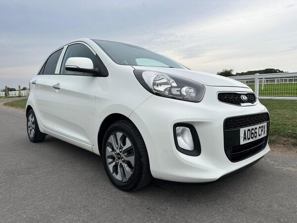 Used Kia Picanto 2016 for sale - 75680666: Photo 13
