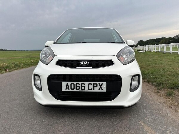 Used Kia Picanto 2016 for sale - 75680666: Photo 16