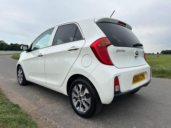Used Kia Picanto 2016 for sale - 75680666: Photo 5