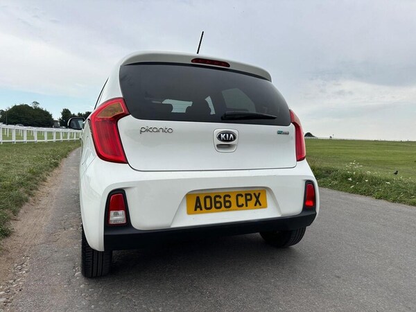 Used Kia Picanto 2016 for sale - 75680666: Photo 6