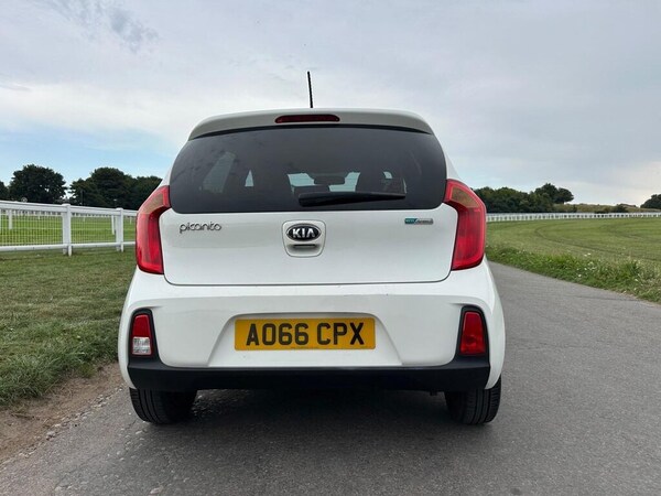 Used Kia Picanto 2016 for sale - 75680666: Photo 7