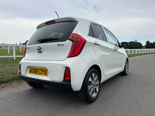 Used Kia Picanto 2016 for sale - 75680666: Photo 8