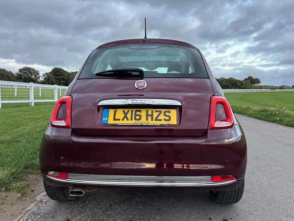 Used Fiat 500 2016 for sale - 76249772: Photo 7