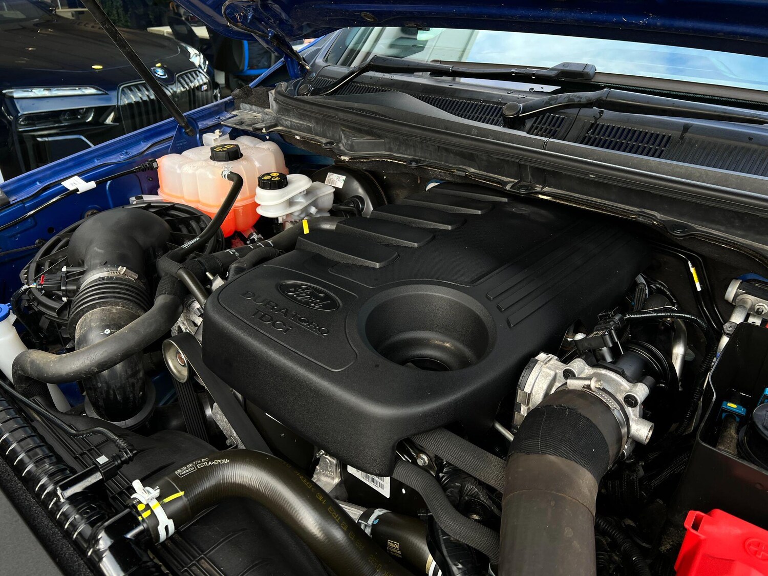 Used Ford Ranger 2019 for sale - 76433347: Photo 64