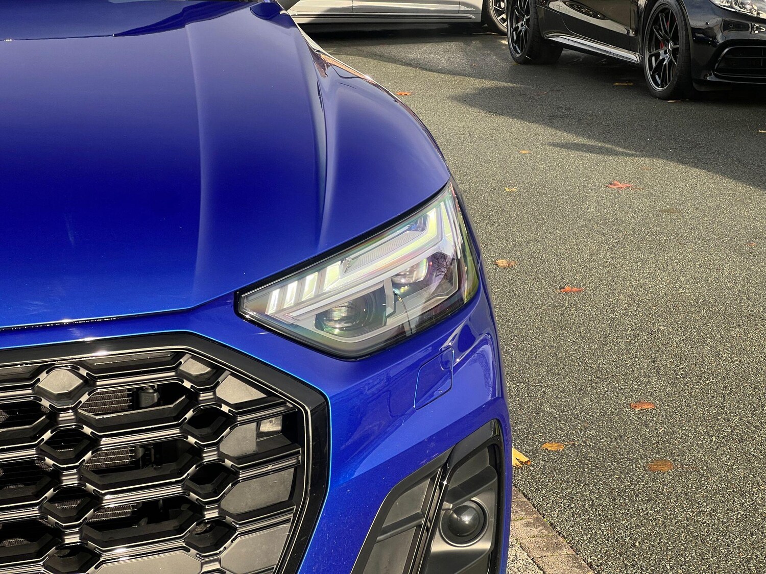 Used Audi SQ5 for sale - 76561773: Photo 69