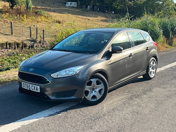 Used Ford Focus 2016 for sale - 79495128: Photo