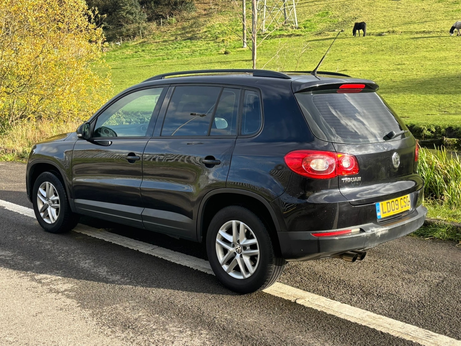 Used Volkswagen Tiguan 2009 for sale - 76404967: Photo 3