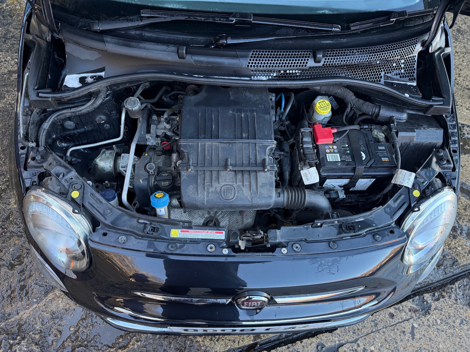 Used Fiat 500 2016 for sale - 77028872: Photo 35