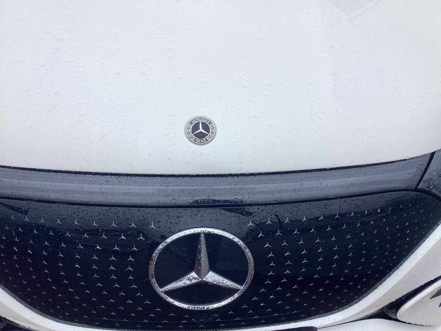 Used Mercedes-Benz EQA 2024 for sale - 77586451: Photo 19