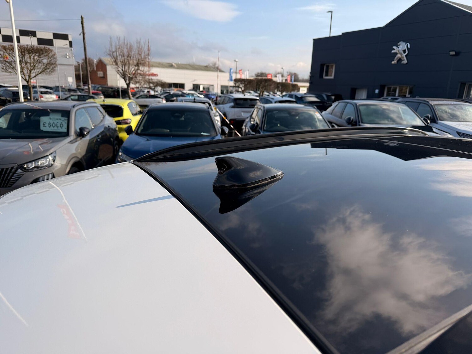 Used Kia Sportage 2023 for sale - 77839109: Photo 20