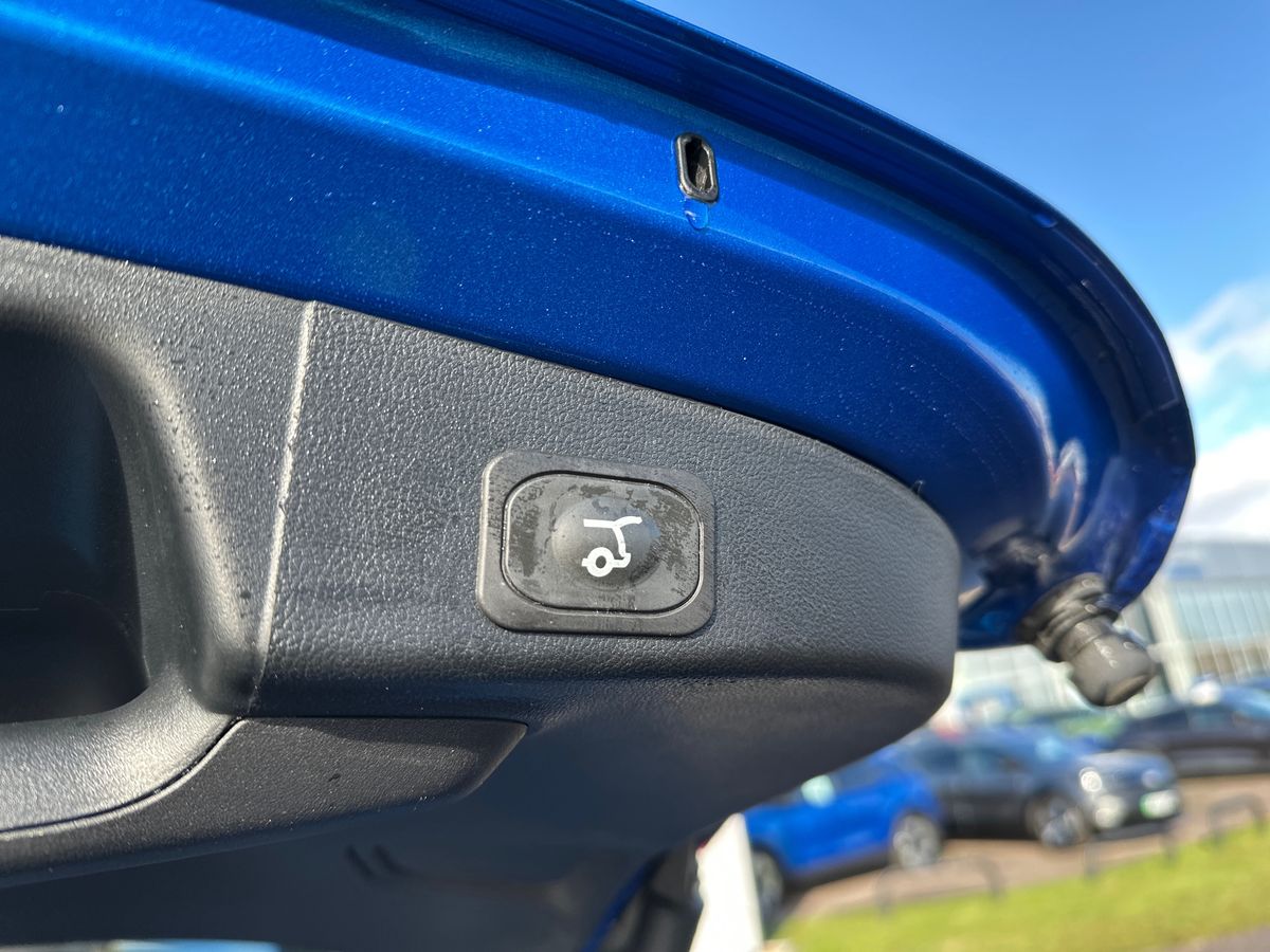 Used Ford Focus 2024 for sale - 76379494: Photo 37