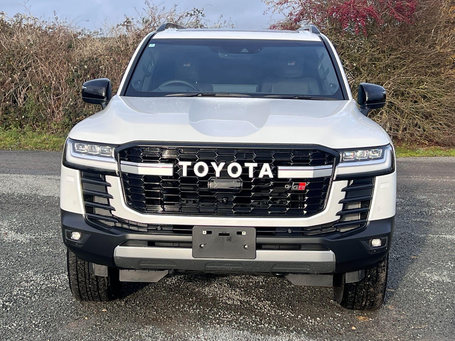 Used Toyota Land Cruiser for sale - 77331177: Photo 2