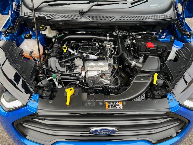 Used Ford Ecosport 2022 for sale - 76571326: Photo 33