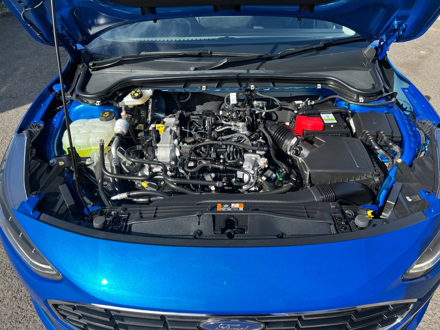 Used Ford Focus 2023 for sale - 77921590: Photo 50