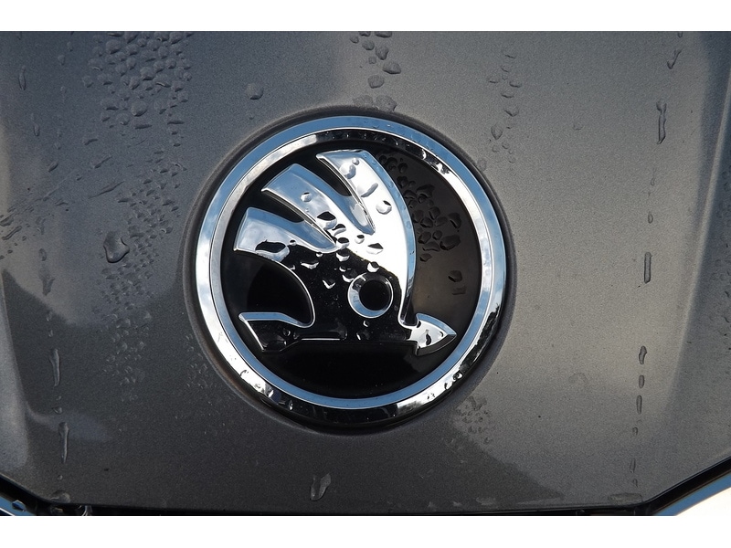 Used Skoda Fabia 2022 for sale - 76766415: Photo 8