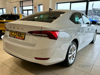 Used Skoda Octavia 2023 for sale - 79076582: Photo