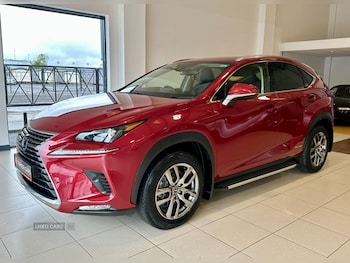 Used Lexus NX 2019 for sale - 79577998: Photo