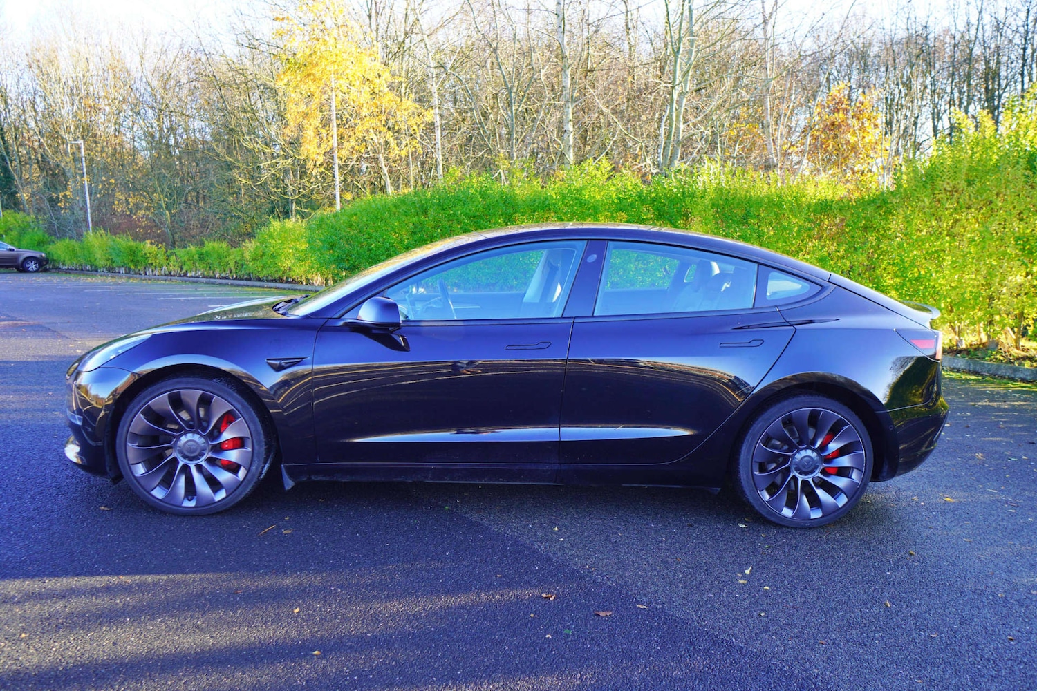 Used Tesla Model 3 2021 for sale - 76829755: Photo 5