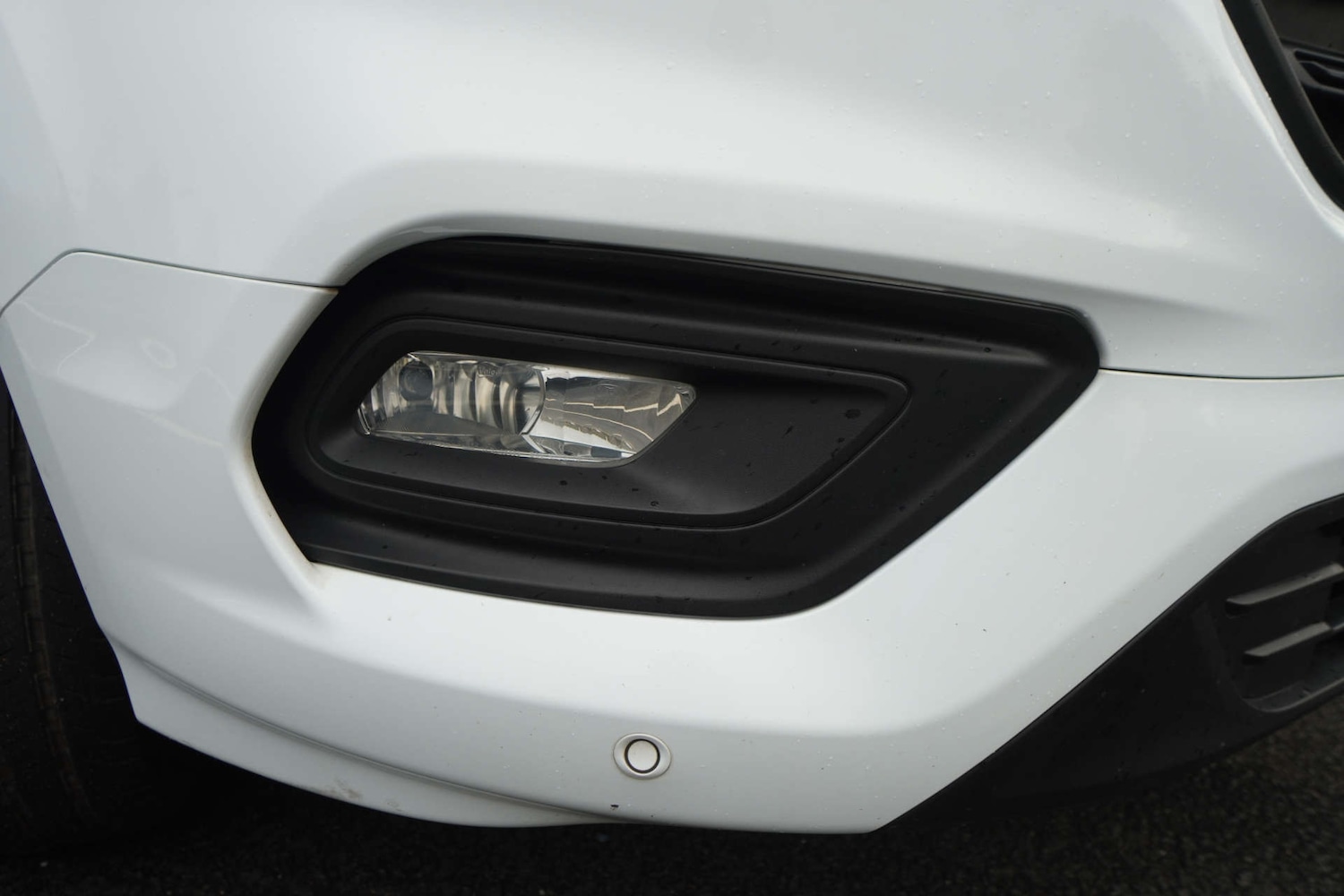 Used Ford Transit Custom 2019 for sale - 76601119: Photo 76