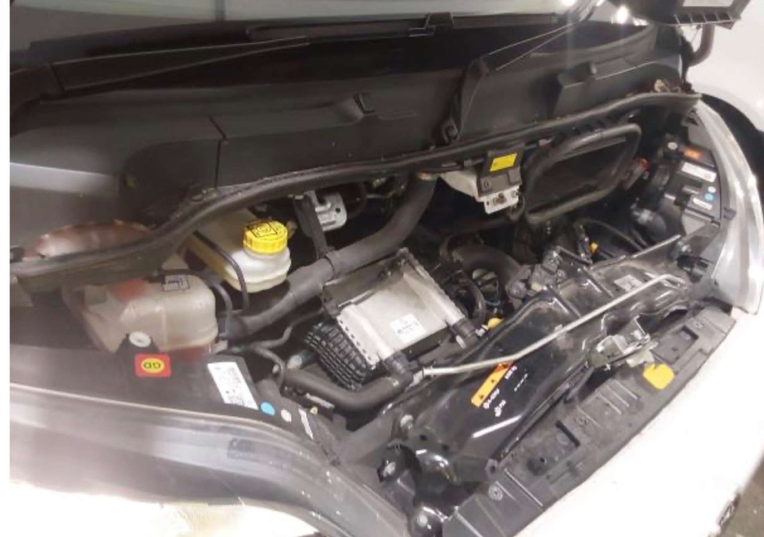 Used Vauxhall Movano 2024 for sale - 77610606: Photo 17