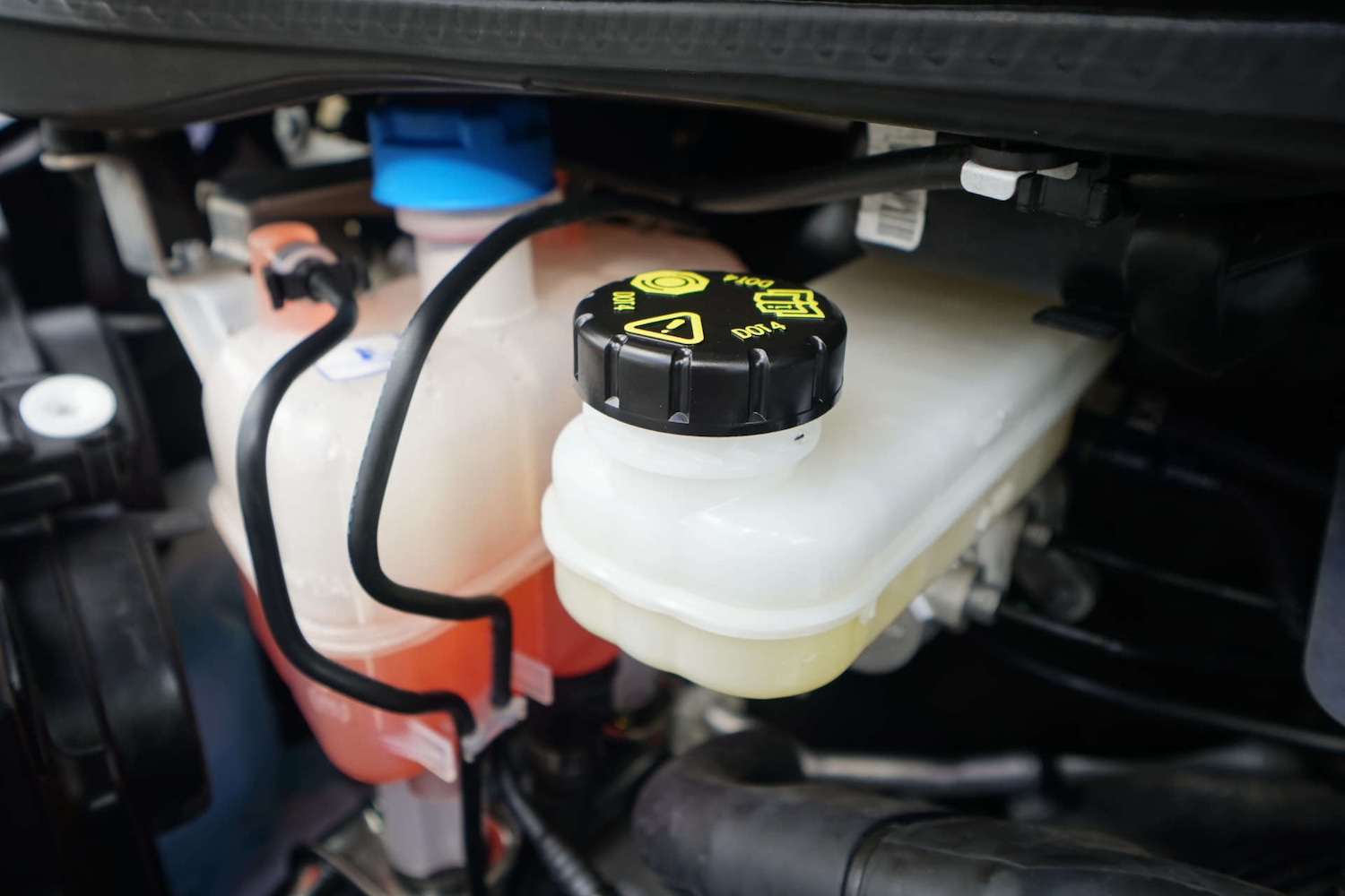 Used Vauxhall Movano 2024 for sale - 77667900: Photo 46