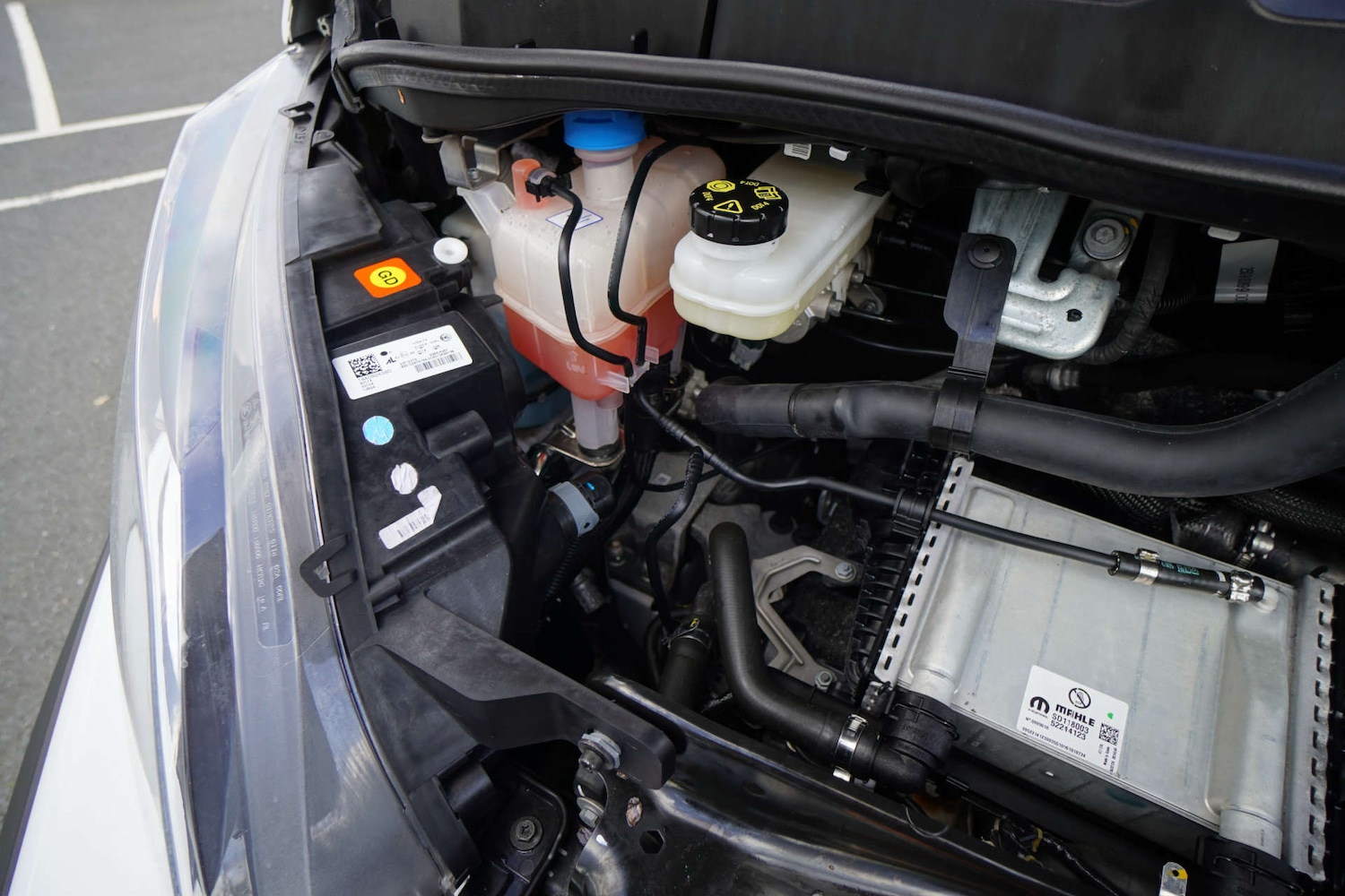 Used Vauxhall Movano 2024 for sale - 77667900: Photo 47