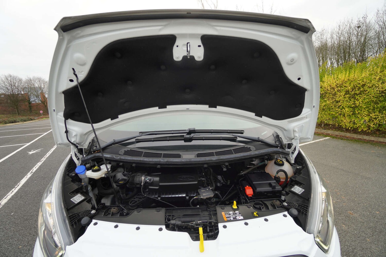 Used Ford Transit Custom 2020 for sale - 76974710: Photo 69