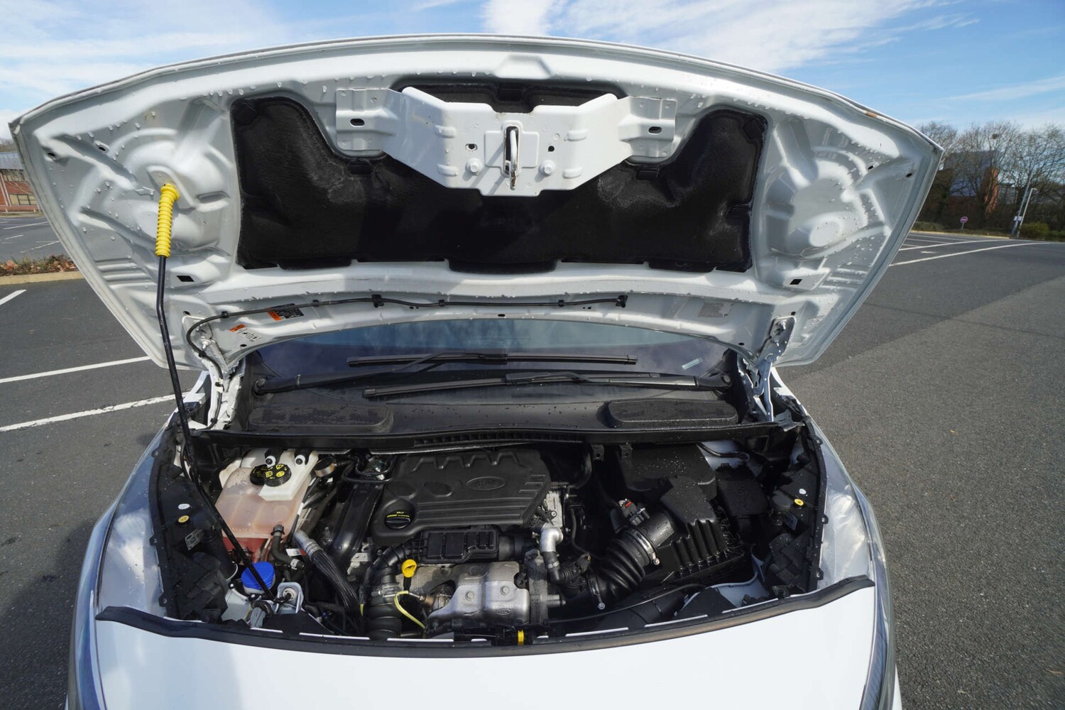 Used Ford Transit Connect 2020 for sale - 78048916: Photo 57