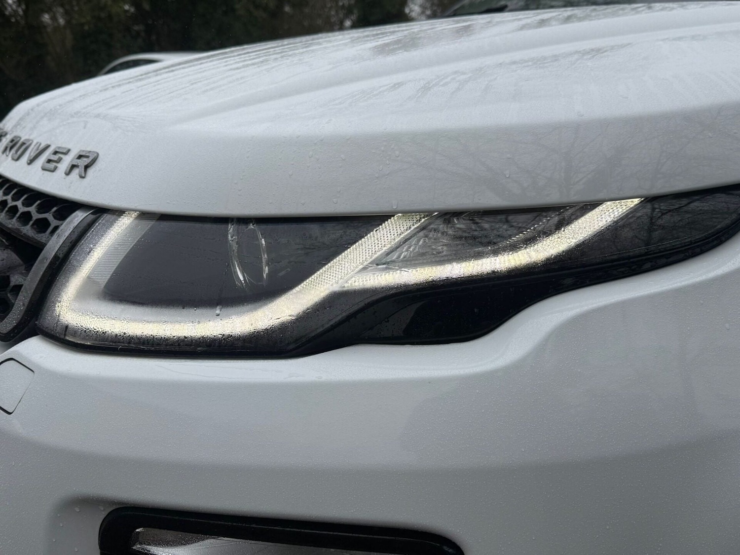 Used Land Rover Range Rover Evoque 2017 for sale - 77502829: Photo 12