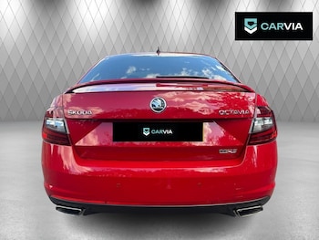 Used Skoda Octavia 2018 for sale - 79522293: Photo