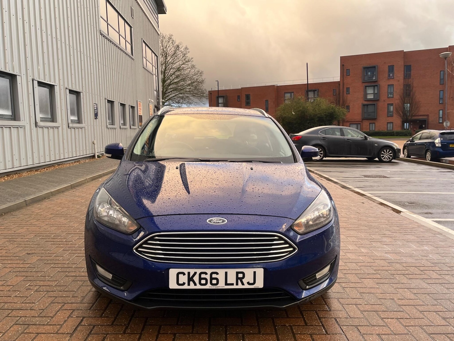 Used Ford Focus for sale - 77484177: Photo 3