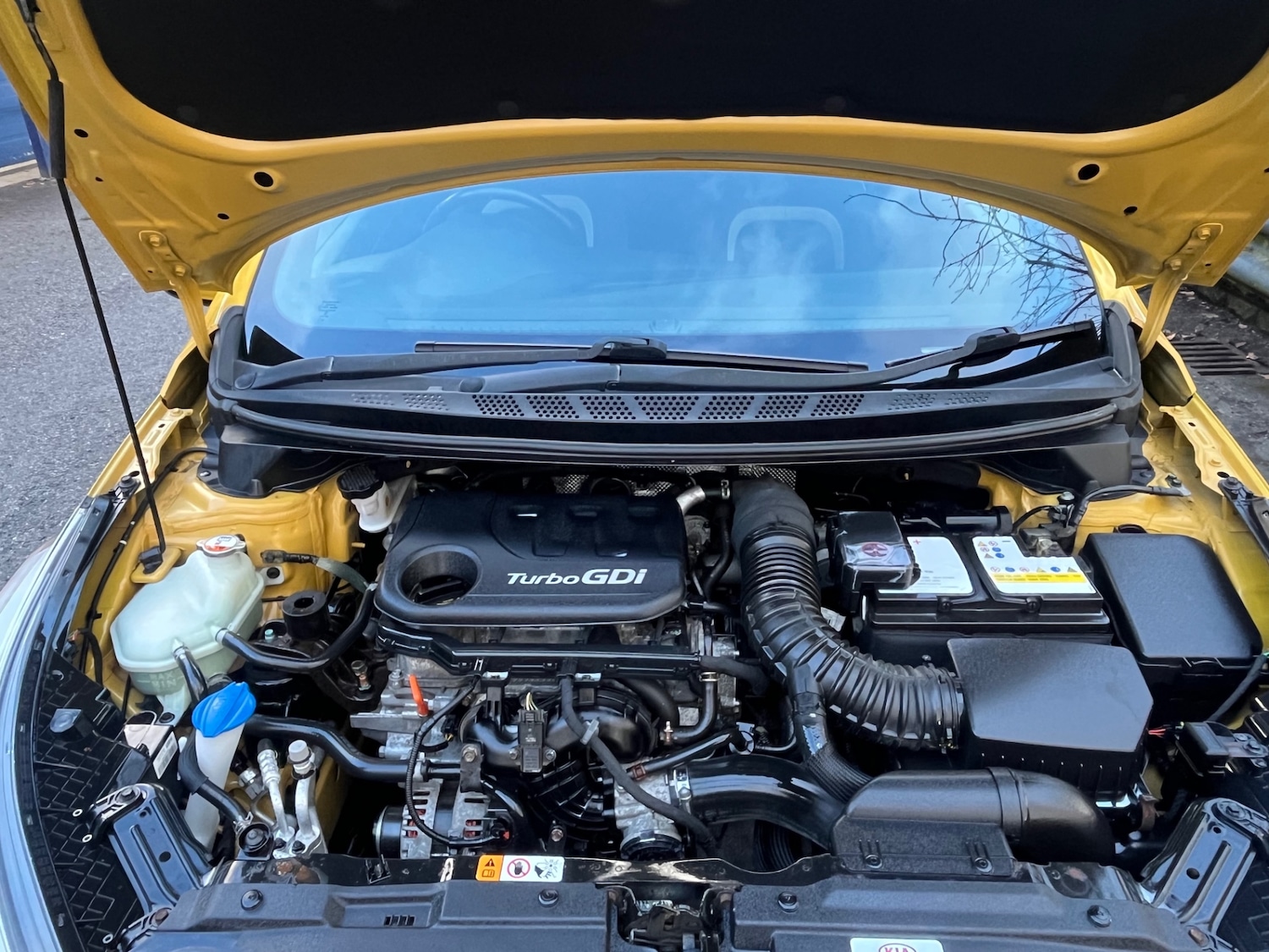 Used Kia Pro Ceed 2016 for sale - 77116296: Photo 18