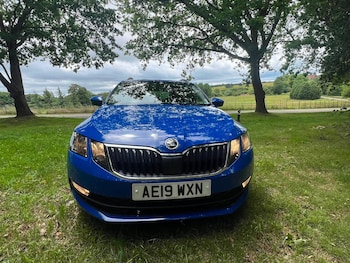 Used Skoda Octavia 2019 for sale - 79034361: Photo