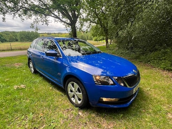 Used Skoda Octavia 2019 for sale - 79034361: Photo
