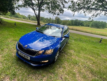 Used Skoda Octavia 2019 for sale - 79034361: Photo