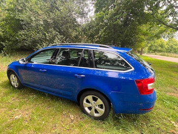 Used Skoda Octavia 2019 for sale - 79034361: Photo
