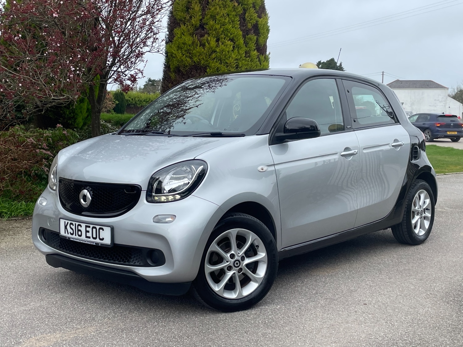 Used smart forfour 2016 for sale - 77902764: Photo 3